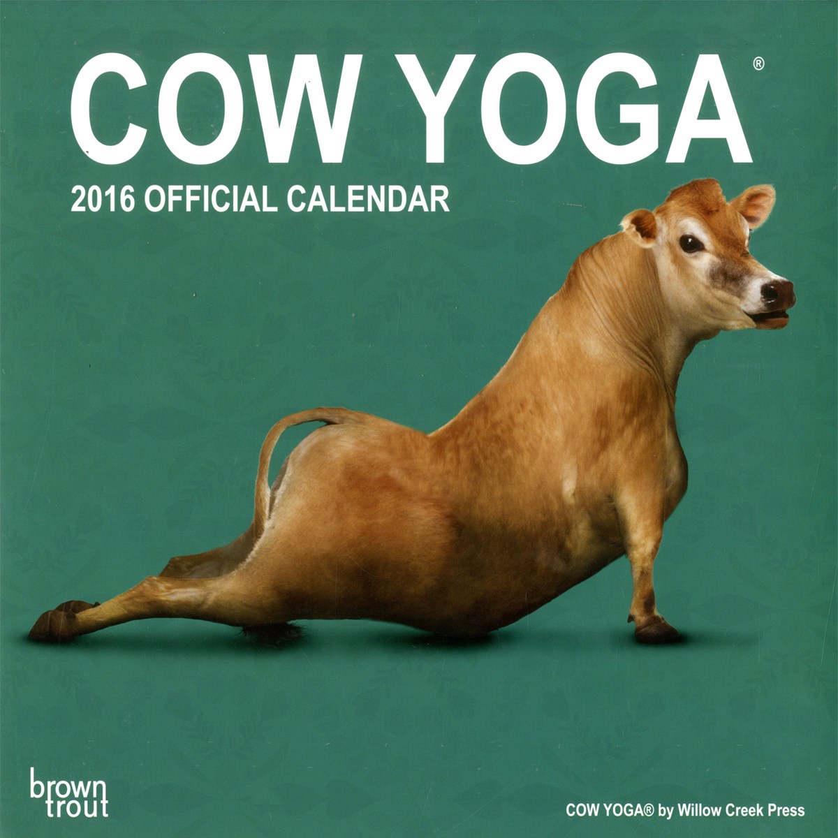 Cow Yoga 2016 Square Calendar Buy Online at