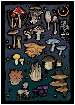 The Mushroom Guide Mini Poster