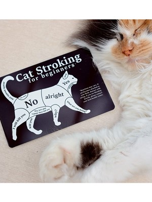 Cat Stroking For Beginners Greet Tin Card
