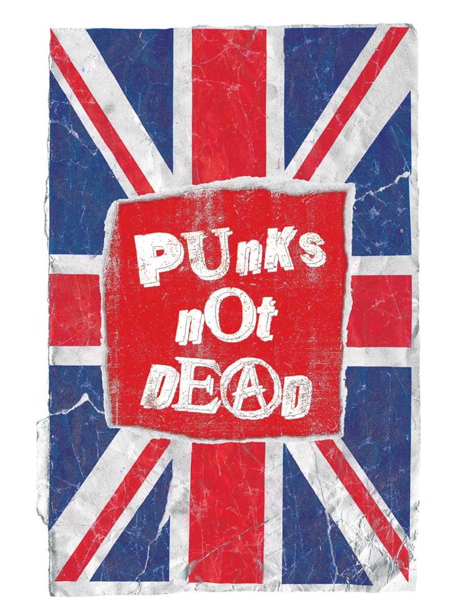 Картинка punks not dead