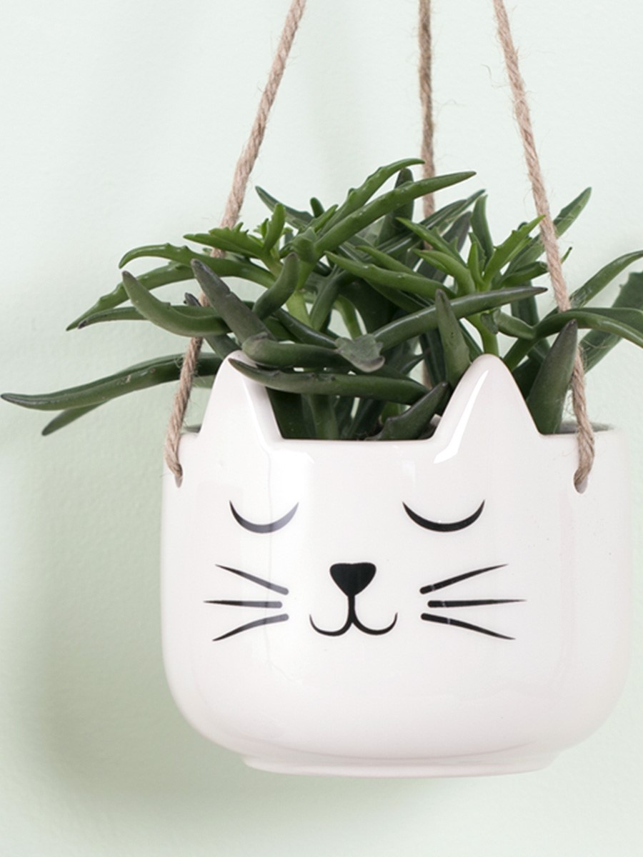 Cat's Whiskers Hanging Planter